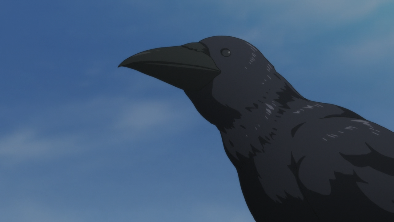 Haikyuu!!: Karasuno Koukou VS Shiratorizawa Gakuen Koukou (Ñyuum)